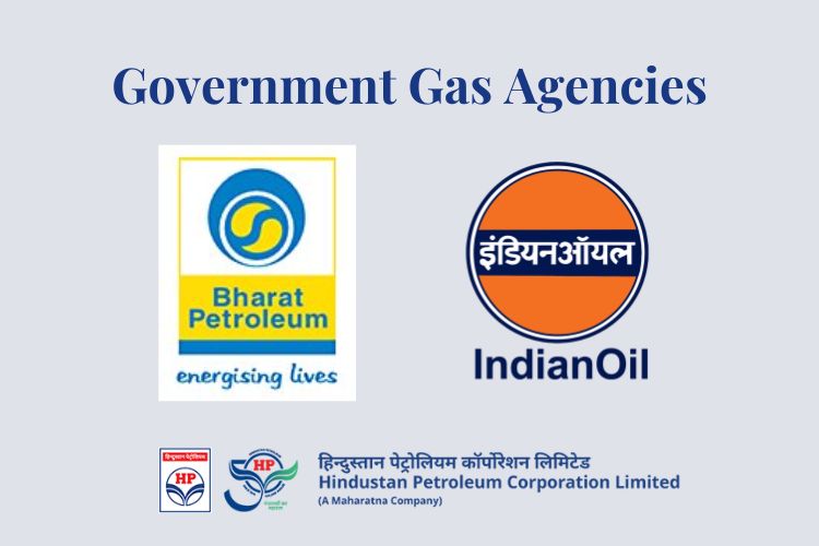 Government Gas Agencies