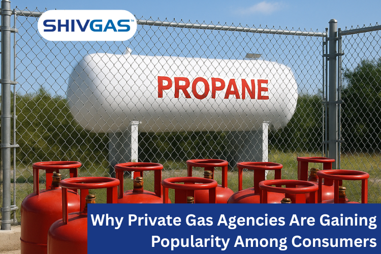 Top Reasons Why Consumers Prefer Private Gas Companies