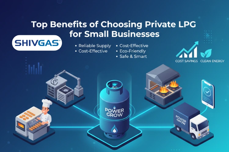 Top Benefits of Choosing Private LPG for Small Businesses
